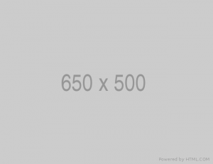 650x500